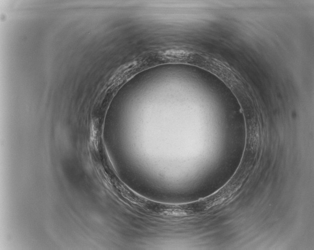 X0000060740749200511171057