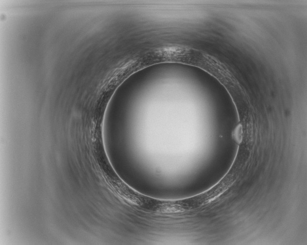 X0000060740750200511171057