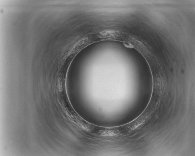 X0000060740751200511171057