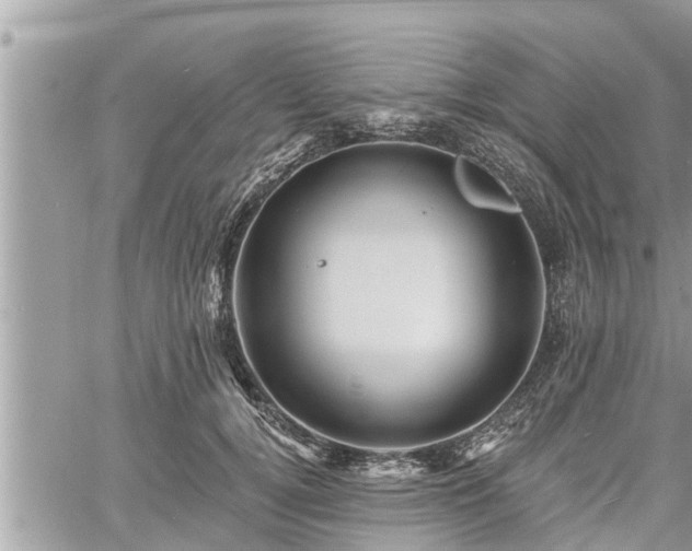 X0000060740752200511171057