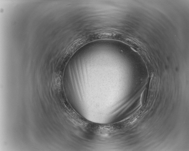 X0000060740753200511171057