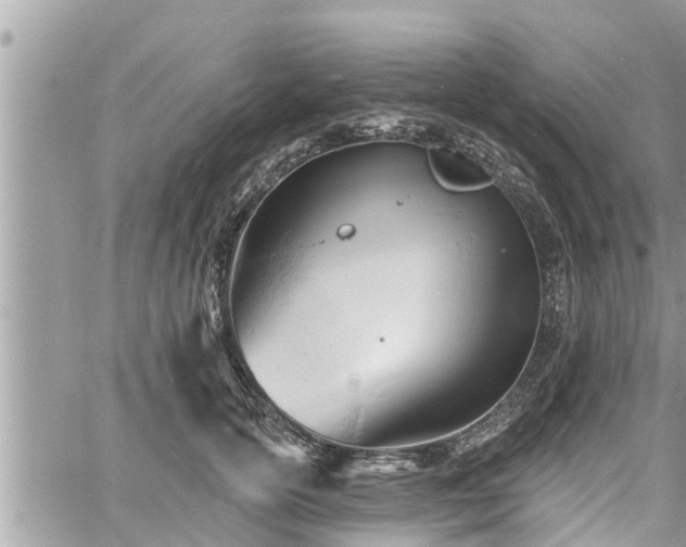 X0000060740754200511171057