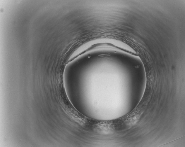 X0000060740756200511171057