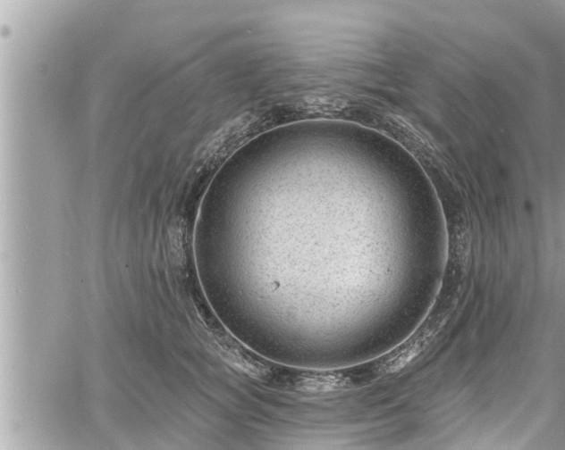 X0000060740757200511171057