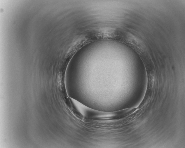 X0000060740760200511171057