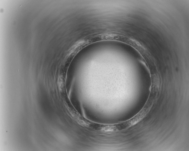 X0000060740761200511171057