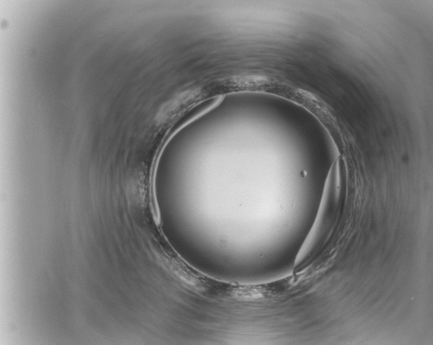 X0000060740762200511171057