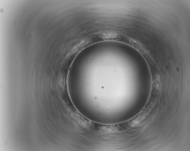 X0000060740763200511171057