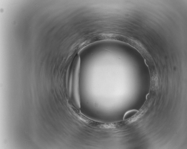 X0000060740765200511171057