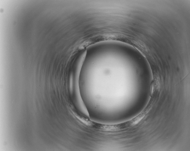 X0000060740766200511171057