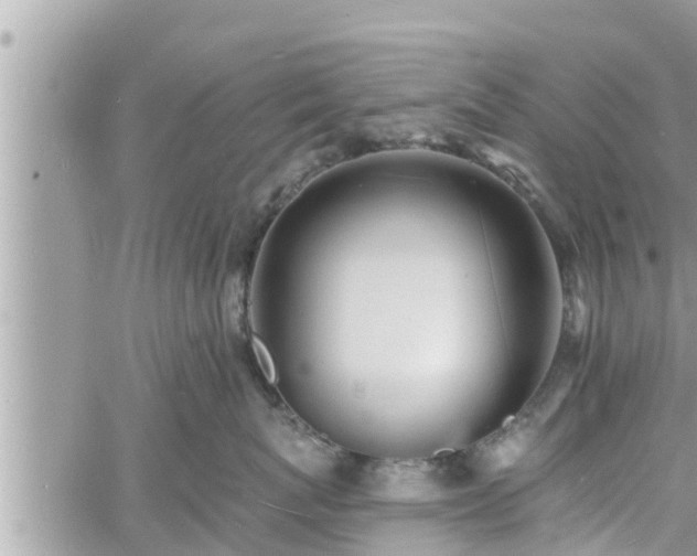 X0000060740767200511171057