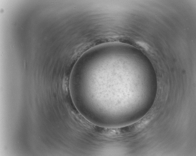 X0000060740768200511171057