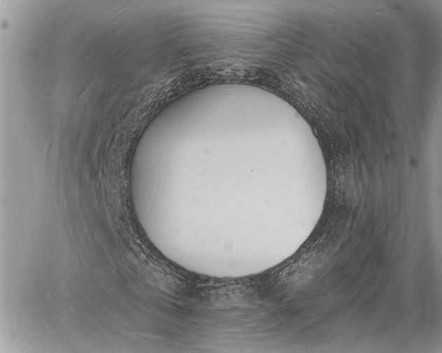 X0000060740769200511171056