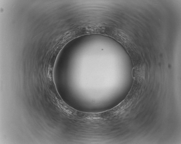 X0000060740770200511171056