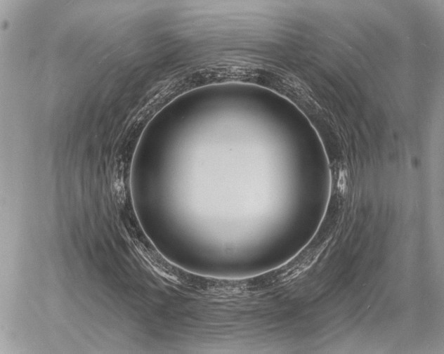 X0000060740771200511171056