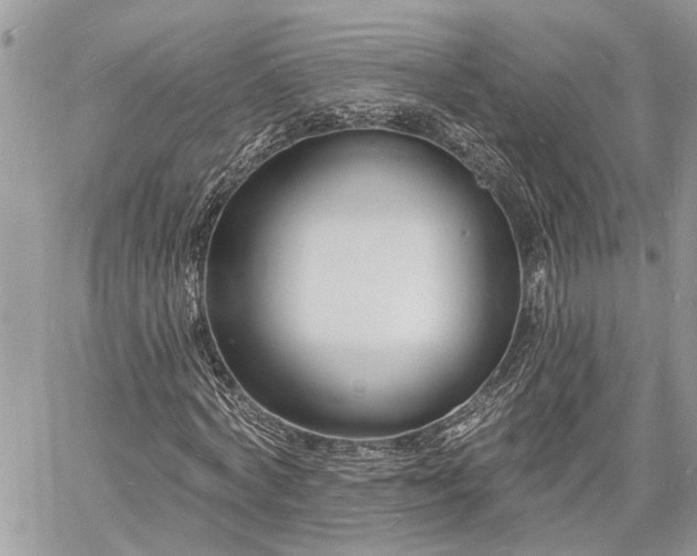 X0000060740772200511171056