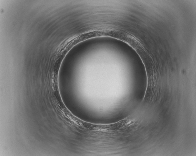 X0000060740773200511171056