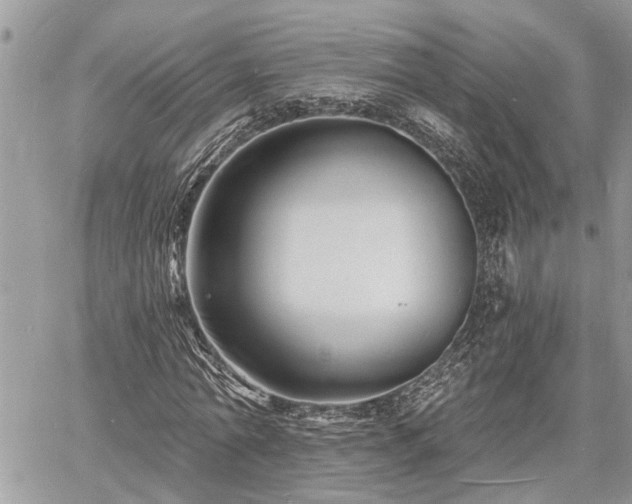 X0000060740774200511171056