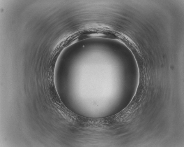 X0000060740775200511171056