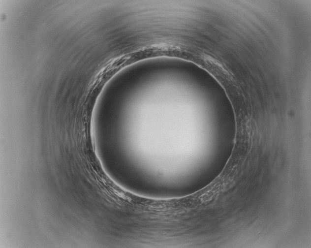 X0000060740776200511171056