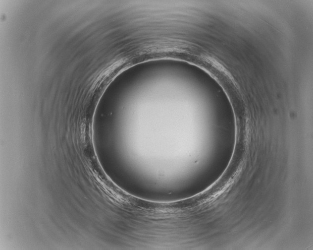 X0000060740777200511171056