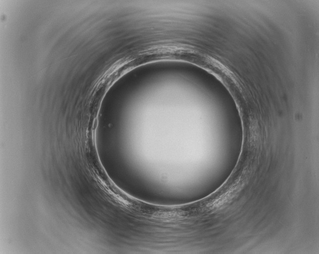 X0000060740778200511171056