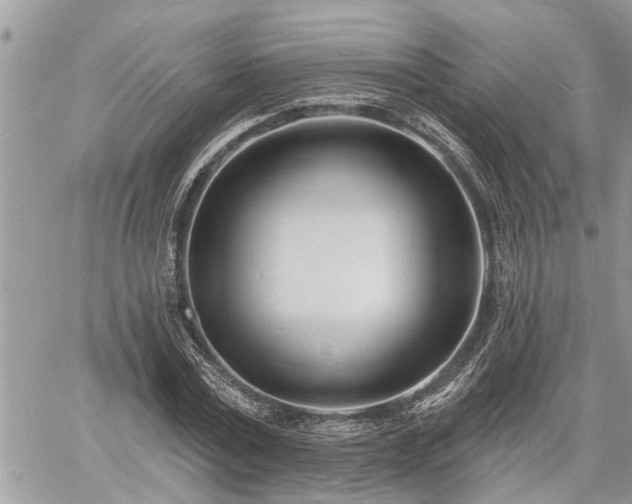 X0000060740779200511171056