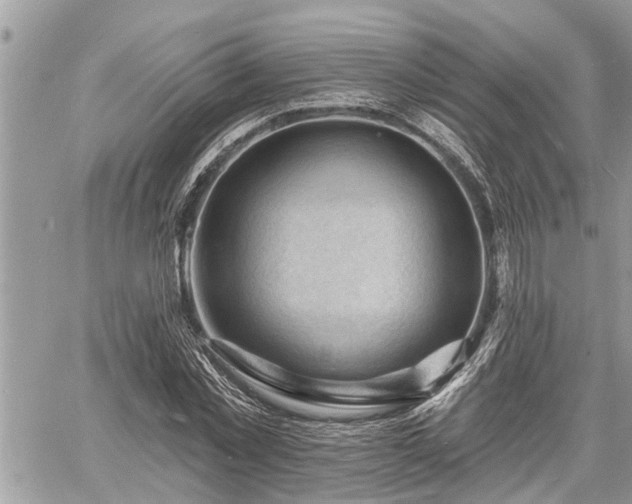 X0000060740781200511171056