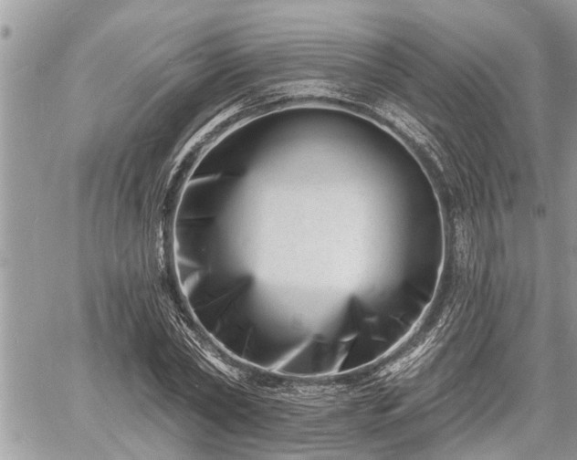 X0000060740782200511171056