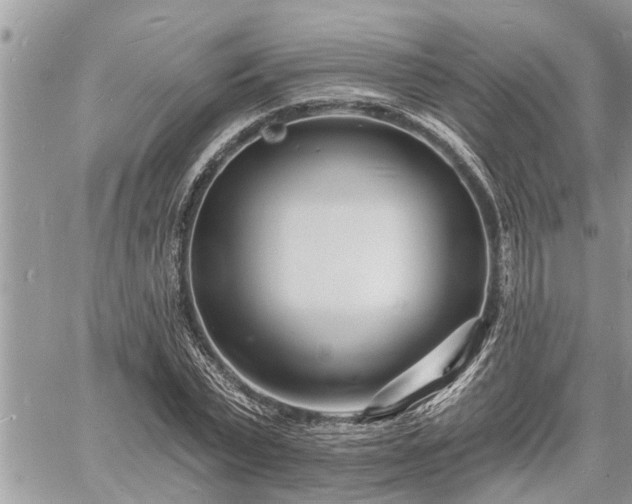 X0000060740783200511171056