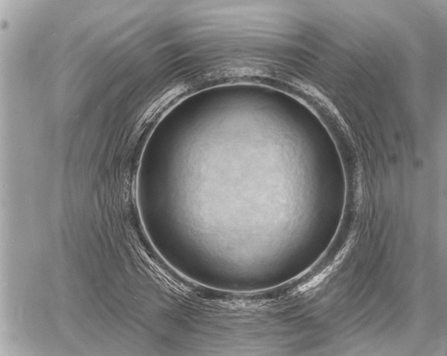 X0000060740785200511171056