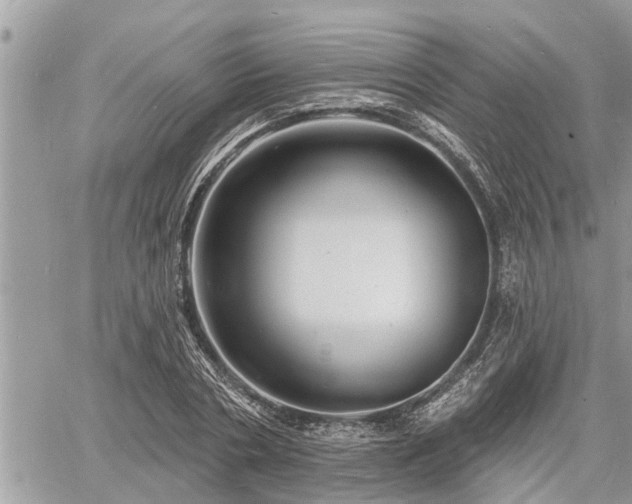 X0000060740786200511171056