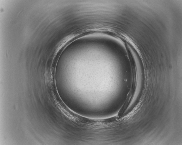 X0000060740787200511171056