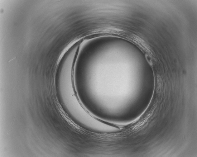 X0000060740788200511171056