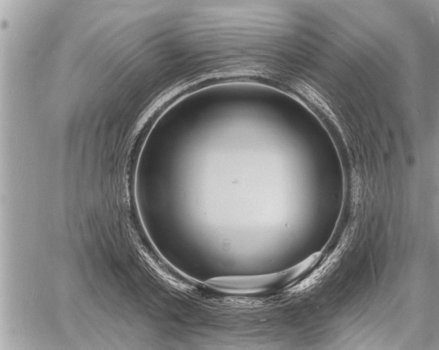 X0000060740789200511171056