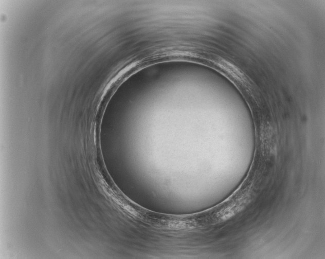 X0000060740790200511171056