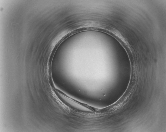 X0000060740791200511171056