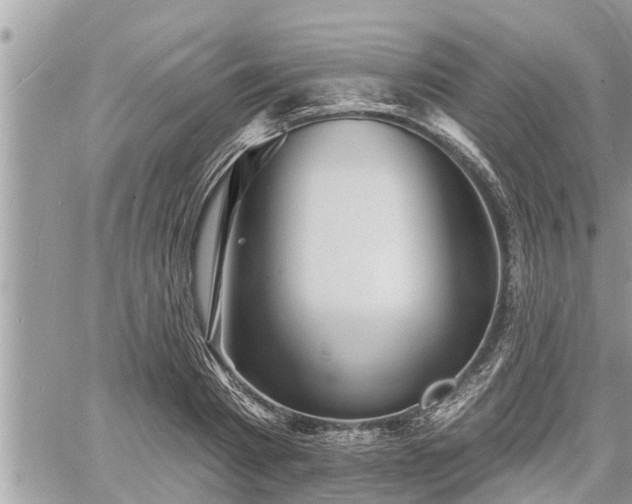 X0000060740793200511171056