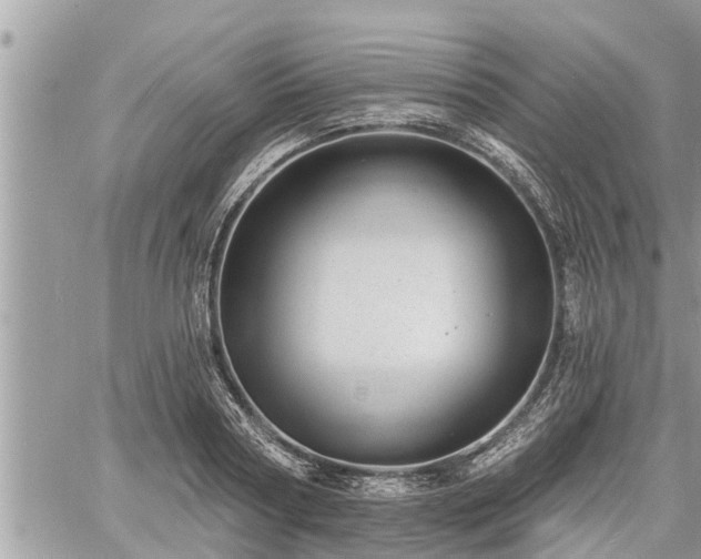 X0000060740794200511171056