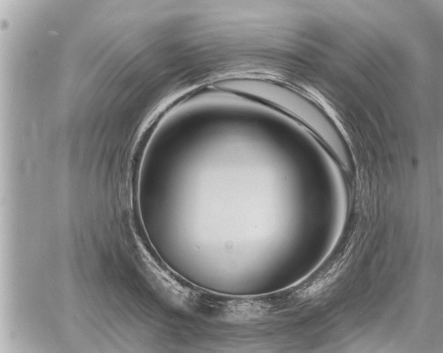 X0000060740795200511171056