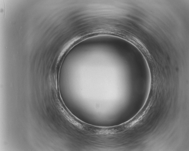 X0000060740796200511171056