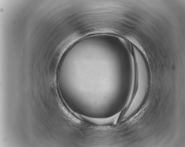 X0000060740797200511171056