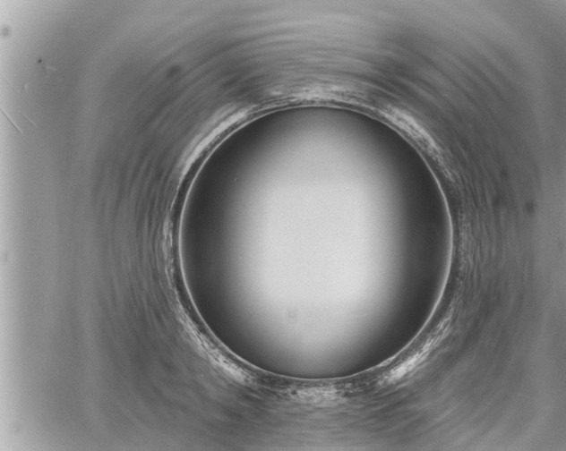 X0000060740798200511171056