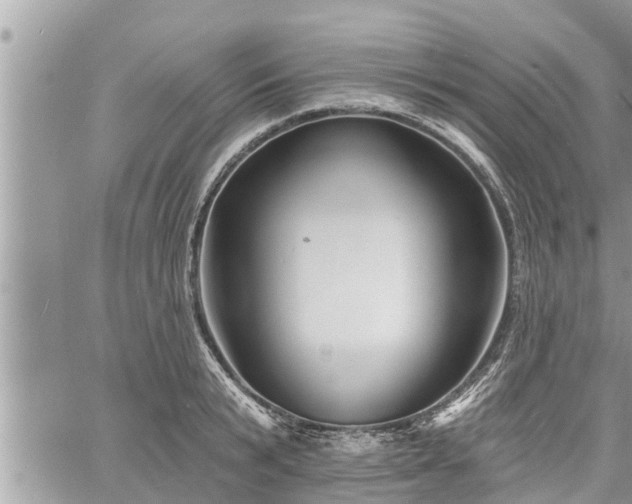 X0000060740799200511171056