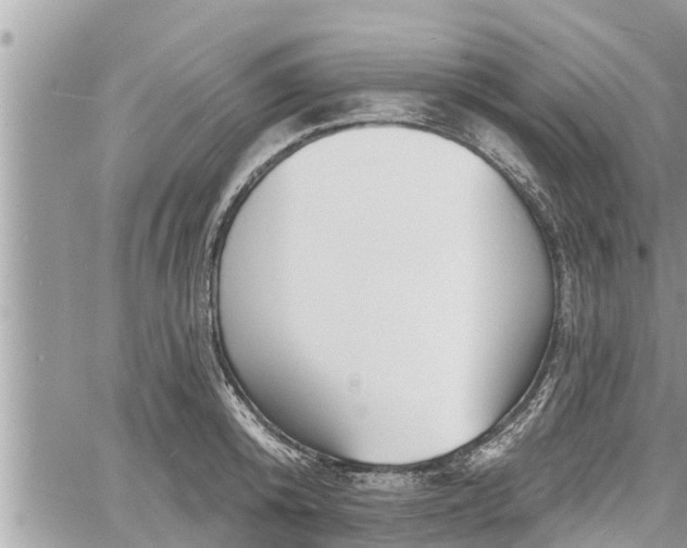 X0000060740800200511171056