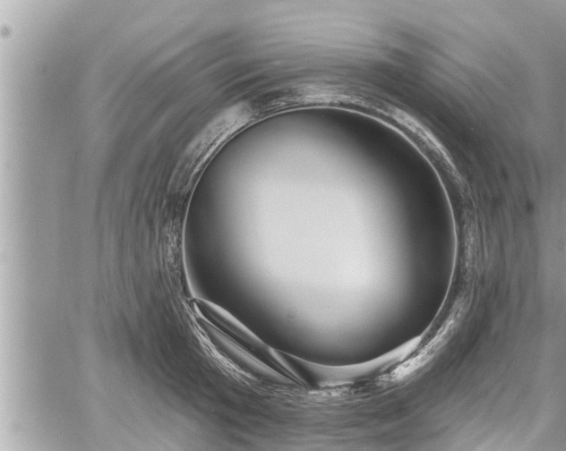 X0000060740801200511171056