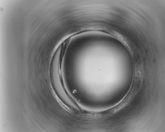 X0000060740803200511171056