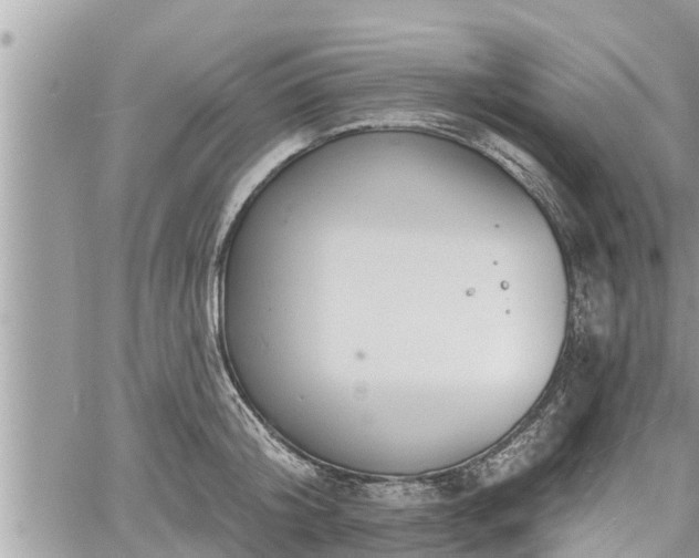 X0000060740804200511171056