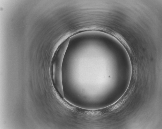 X0000060740805200511171056