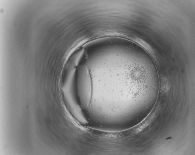 X0000060740806200511171056